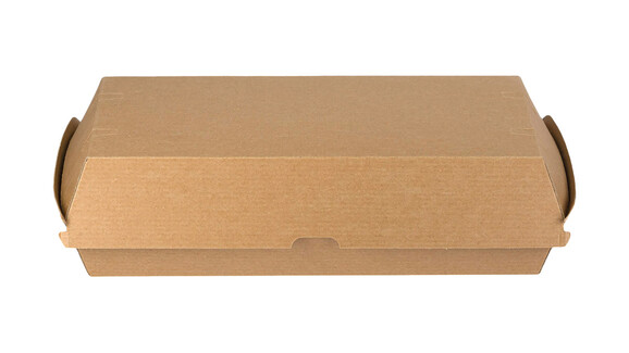 Klappbox, 290 x 170 x 85 mm, Kraftpapier, natur, mit anhängendem Deckel, A-Nr.: 11344 Klappbox, 290 x 170 x 85 mm, Kraftpapier, natur, mit anhängendem Deckel, A-Nr.: 11344 - 02